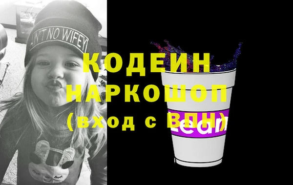 молекула духа Няндома