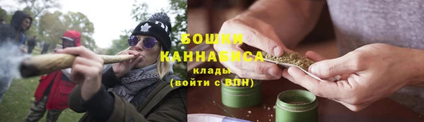 крисы Новозыбков