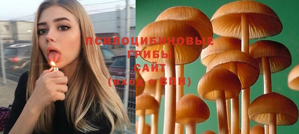 молекула духа Няндома