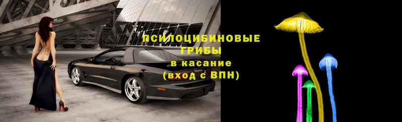 Псилоцибиновые грибы ЛСД  Анапа 