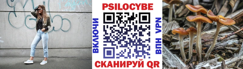 Псилоцибиновые грибы MAGIC MUSHROOMS  МЕГА рабочий сайт  Анапа 