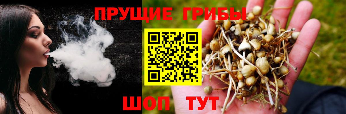 Анапа  Псилоцибиновые грибы мицелий  Вход с VPN 
